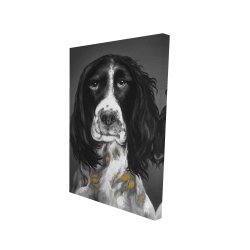 Beautiful english springer spaniel
