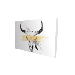 Cow skull with feather
