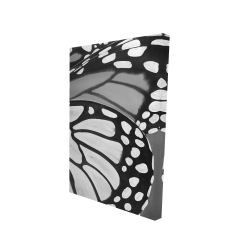 Butterfly wings closeup