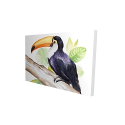 Canvas 24 x 36 - 3D - Toucan perched 