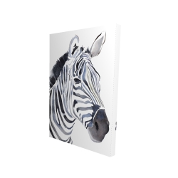Watercolor zebra