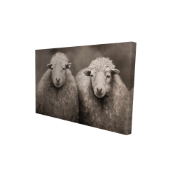 Moutons sépia