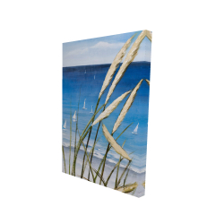 Oyat plant and seaside