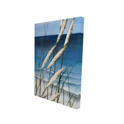 Wild herbs in the wind on at the beach