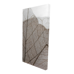Feuilles séchées translucides