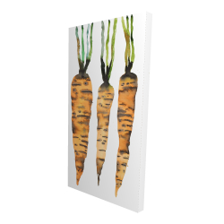 Watercolor carrots