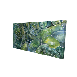 Succulents abstrait