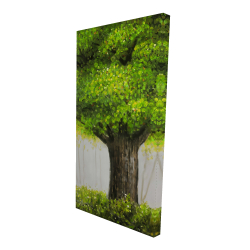 Big green tree