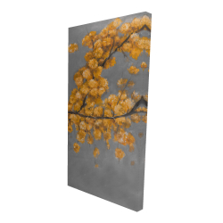 Canvas 24 x 48 - 3D - Golden wattle plant with pugg ball flowers