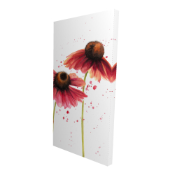 Two pink daisies
