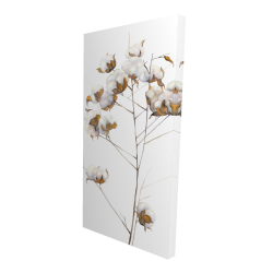 Canvas 24 x 48 - 3D - Cotton flowers branch