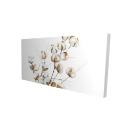 A branch of cotton flowers