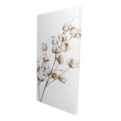 A branch of cotton flowers