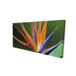 Canvas 24 x 48 - 3D - Bird of paradise flower 