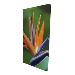 Canvas 24 x 48 - 3D - Bird of paradise flower 