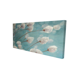 Cotton grass plants in the wind