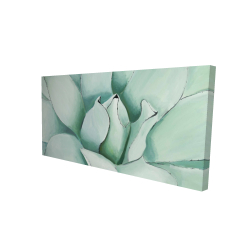 Canvas 24 x 48 - 3D - Succulent closeup
