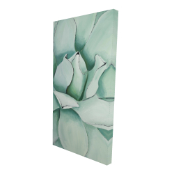 Canvas 24 x 48 - 3D - Succulent closeup