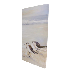 Canvas 24 x 48 - 3D - Two sandpipers on the beach