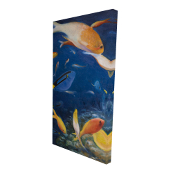 Poissons colorés sous l'océan