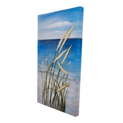 Oyat plant and seaside