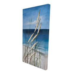 Wild herbs in the wind on at the beach