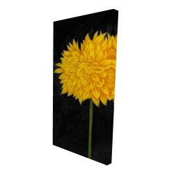 Yellow chrysanthemum
