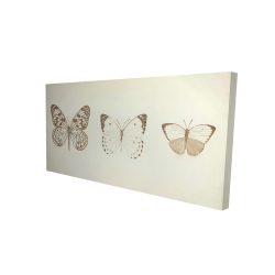 Sepia butterflies