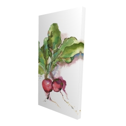 Watercolor radish