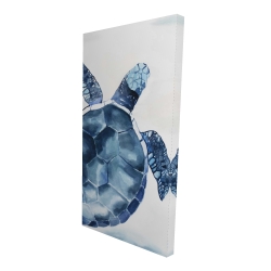 Tortue bleu
