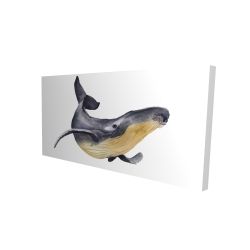 Baleine bleue aquarelle