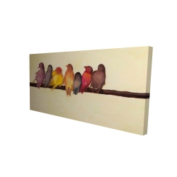 Bird family