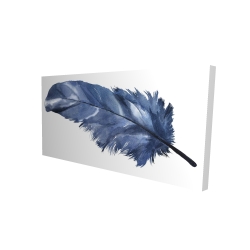 Blue feather