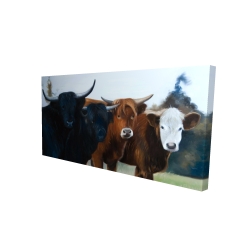 Canvas 24 x 48 - 3D - Four highland cows