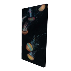 Canvas 24 x 48 - 3D - Colorful jellyfishes swimming in the dark
