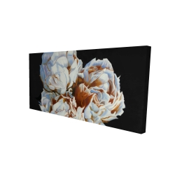 Pivoine en floraison