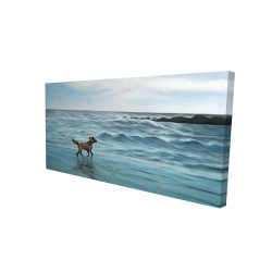 Chien à la plage