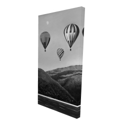 Air balloon landscape