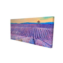 Paysage d'un champ de lavande