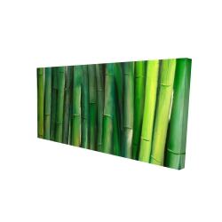 Canvas 24 x 48 - 3D - Green bamboo