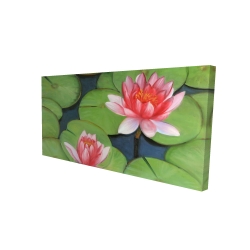 Canvas 24 x 48 - 3D - Lotus flowers in a swamp