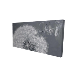 Blowing dandelion