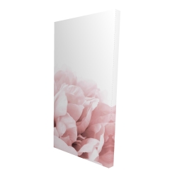 Peony flower dream