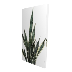 Toile 24 x 48 - 3D - Plante couteau
