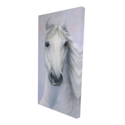 Cheval blanc puissant