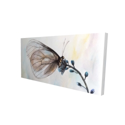 Papillon sur fleurs bleues