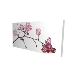 Branche de fleurs de cerisier
