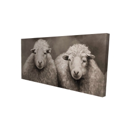 Moutons sépia