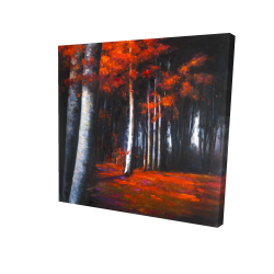 Canvas 48 x 48 - 3D - Mysterious forest