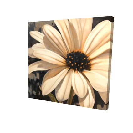 Open daisy